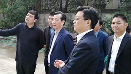 湖州市副市長項樂民蒞臨貝盛控股3GW組件擴產(chǎn)項目指導工作